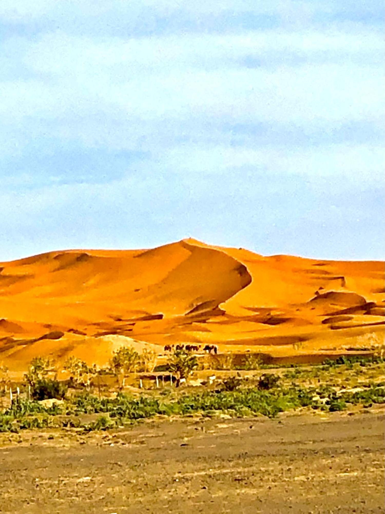 Bivouac La Fibule Des Dunes Merzouga Exterior photo